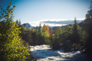 Lofoss Fiks, rakfisk fra fjellvann i Valdres