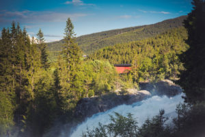 Rakfiskproduksjon i Valdres, Lofoss